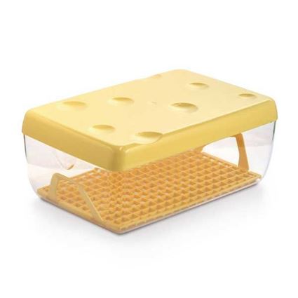 קופסה מעוצבת לאחסון גבינות